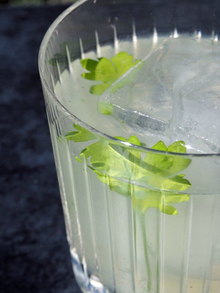 Celery Gimlet