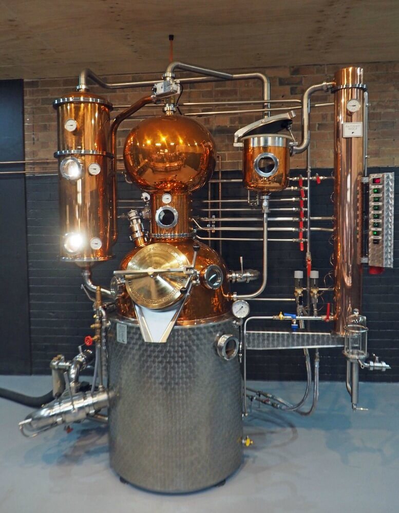 Patient Wolf Gin