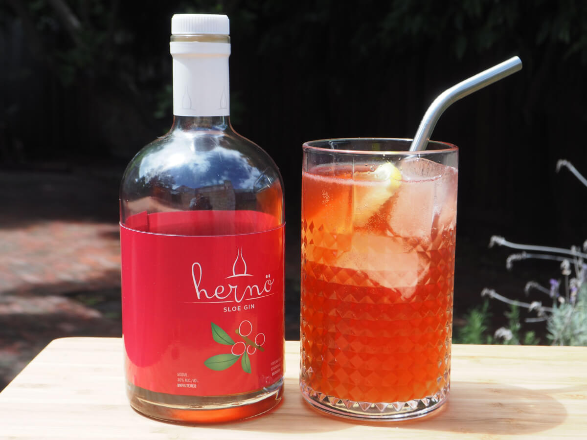 herno gins sloe gin fizz