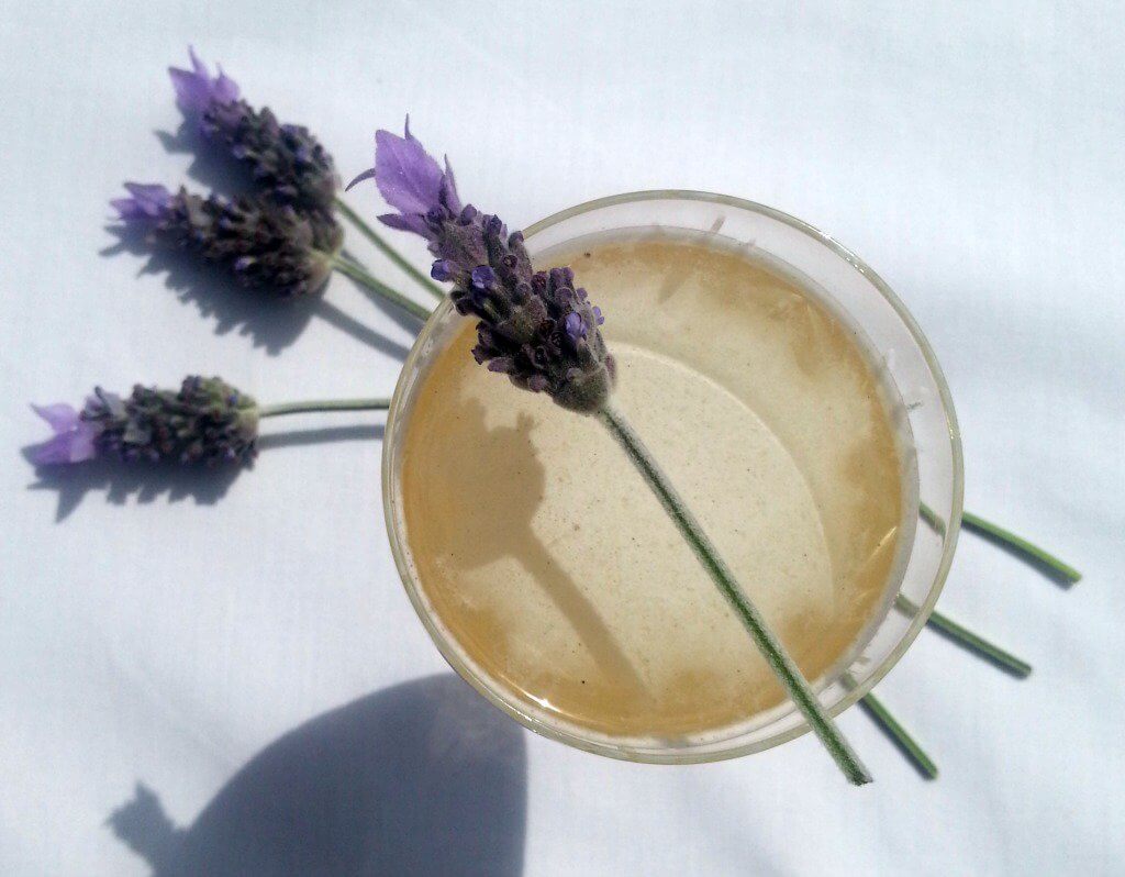 bees-knees-cocktail