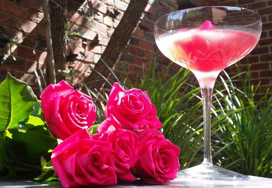 rosie-lee-cocktail