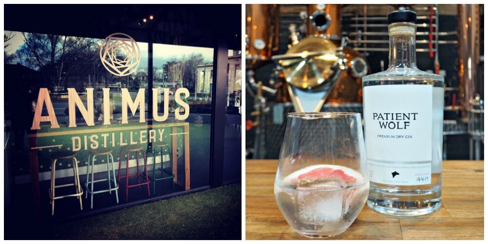 Gin Queen on Tour ~ Animus Distillery and Patient Wolf